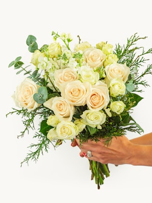 Elegant bouquet of cream roses and white flowers, accented with greenery. Perfect for any occasion.