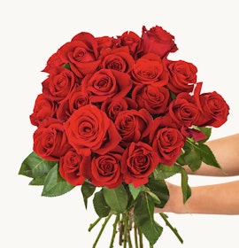 Vibrant bouquet of red roses held by hands, perfect for romantic gestures and celebrations.