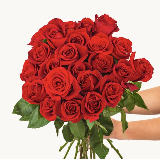 Vibrant bouquet of red roses held by hands, perfect for romantic gestures and celebrations.