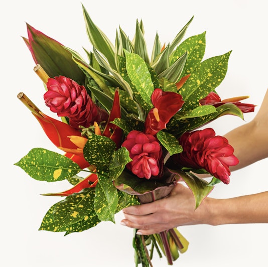 Vibrant tropical bouquet featuring red ginger flowers and lush green leaves, perfect for gifts.