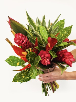 Vibrant tropical bouquet featuring red ginger flowers and lush green leaves, perfect for gifts.
