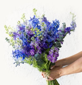 Vibrant bouquet of purple and blue flowers, elegantly held against a light backdrop.