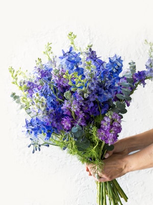 Vibrant bouquet of purple and blue flowers, elegantly held against a light backdrop.