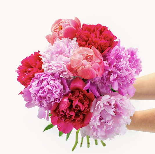 Vibrant bouquet of peonies in shades of pink and red, perfect for celebrations.
