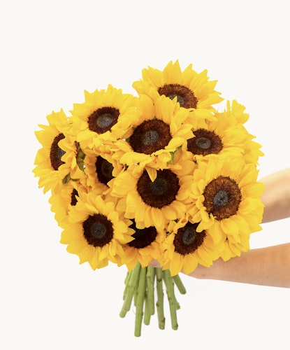 A bright sunflower bouquet with fresh, vibrant yellow blooms and lush greenery.