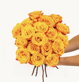 Vibrant bouquet of yellow and orange roses, perfect for brightening up any occasion.