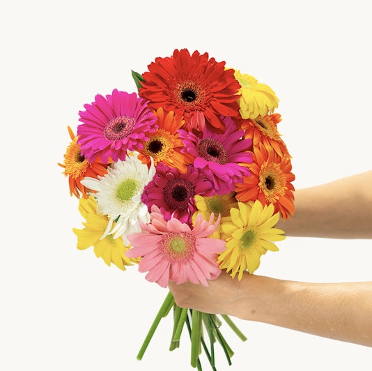 Vibrant bouquet of colorful gerbera daisies in various shades, perfect for brightening any occasion.