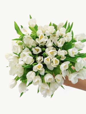 Elegant bouquet of white tulips with lush green leaves, perfect for any occasion.