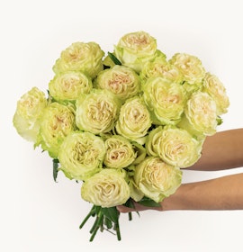 A stunning bouquet of creamy white roses with soft green accents, perfect for elegant events.
