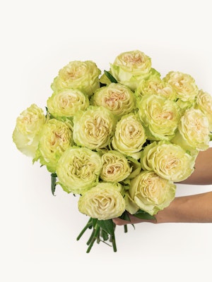 A stunning bouquet of creamy white roses with soft green accents, perfect for elegant events.