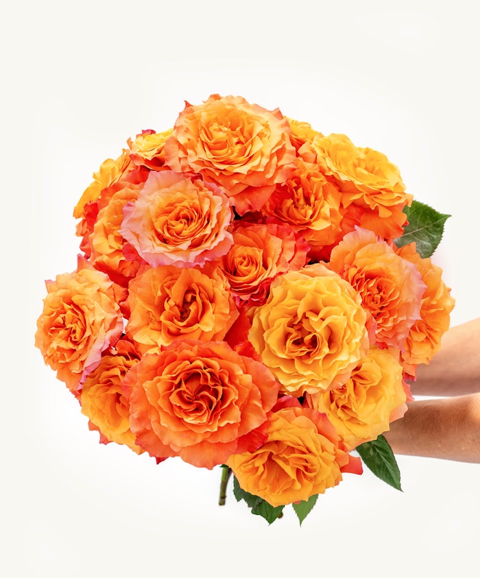 Vibrant orange and peach roses arranged in a stunning bouquet, perfect for celebrations.
