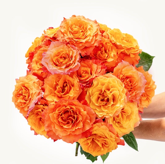 Vibrant orange and peach roses arranged in a stunning bouquet, perfect for celebrations.
