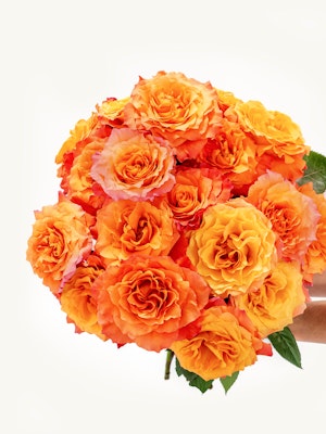 Vibrant orange and peach roses arranged in a stunning bouquet, perfect for celebrations.